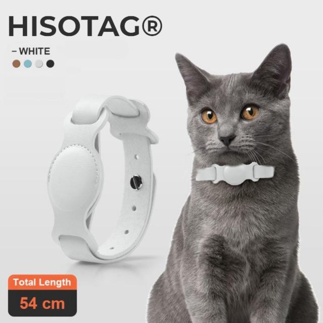 collier airtag blanc chat gris