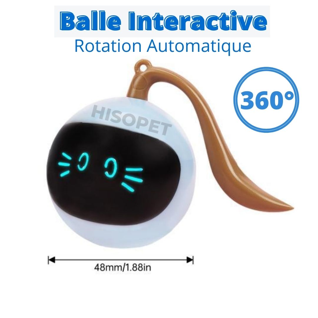 balle interactive 360 pour chat