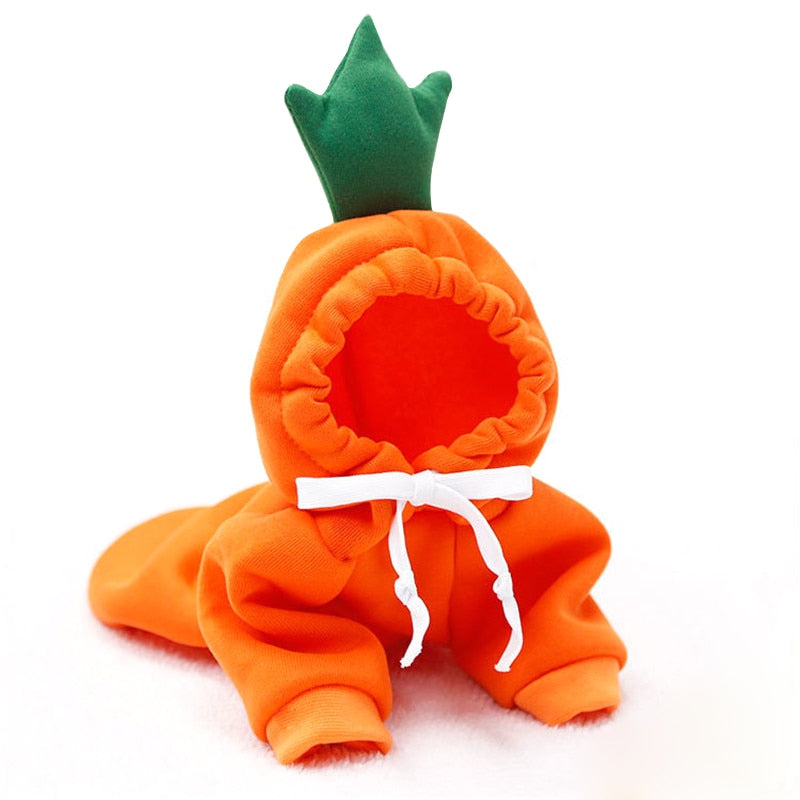 deguisement chien fruit carotte