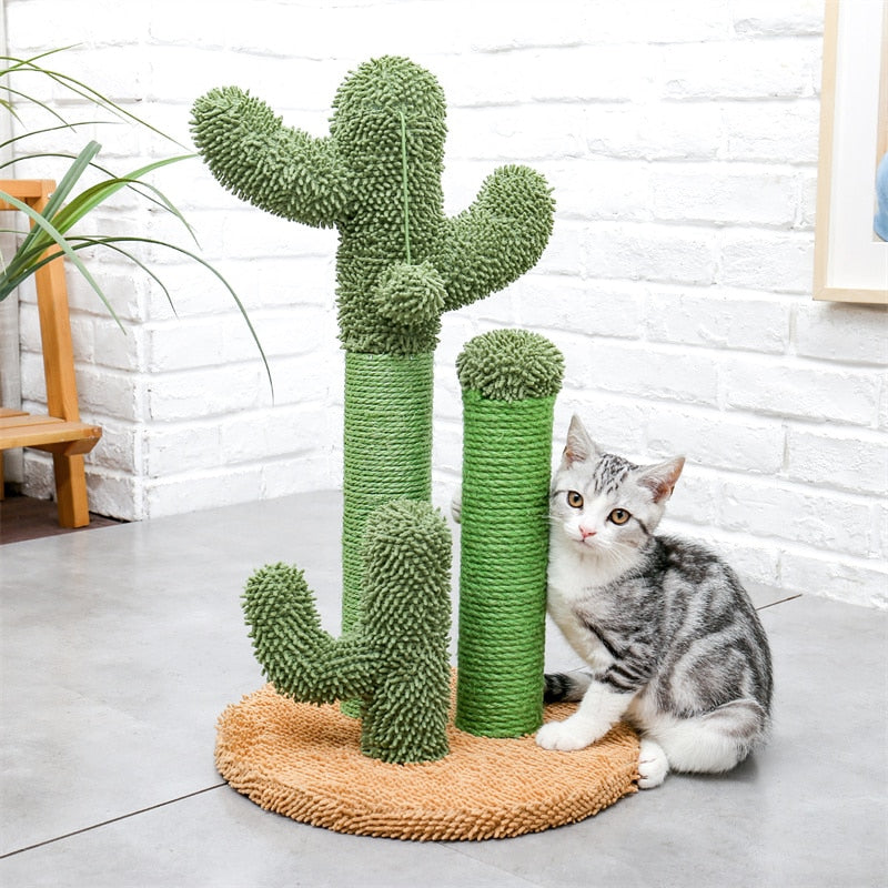 arbre a chat cactus