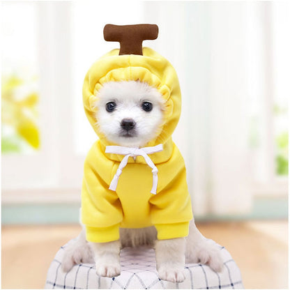 sweat capuche jaune pour chien