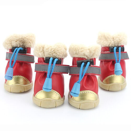 chaussure chien rouge