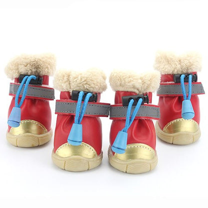 chaussure chien rouge