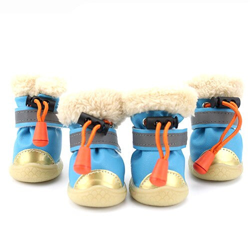 chaussure chien bleu