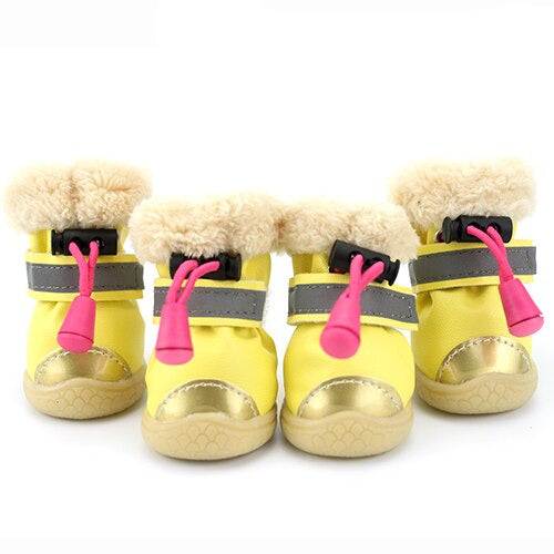 chaussure chien jaune