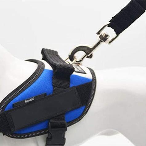 Ceinture de Sécurité pour Chien en Voiture