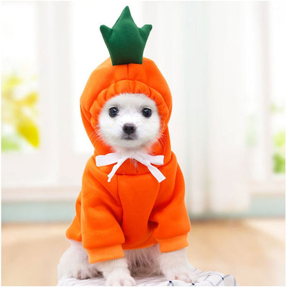 sweat capuche orange pour chien