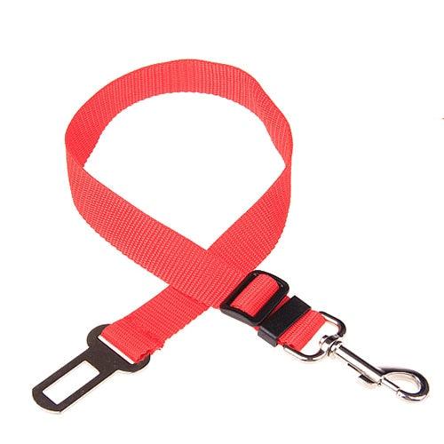 collier chien voiture rouge