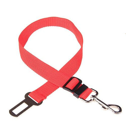 collier chien voiture rouge