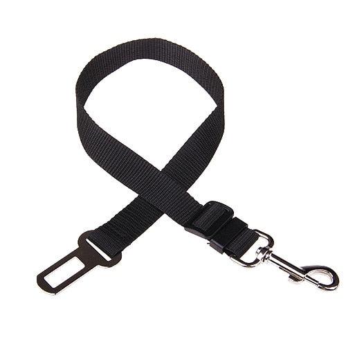 collier chien voiture noir