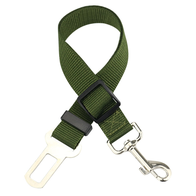 collier chien voiture vert