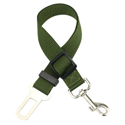 collier chien voiture vert