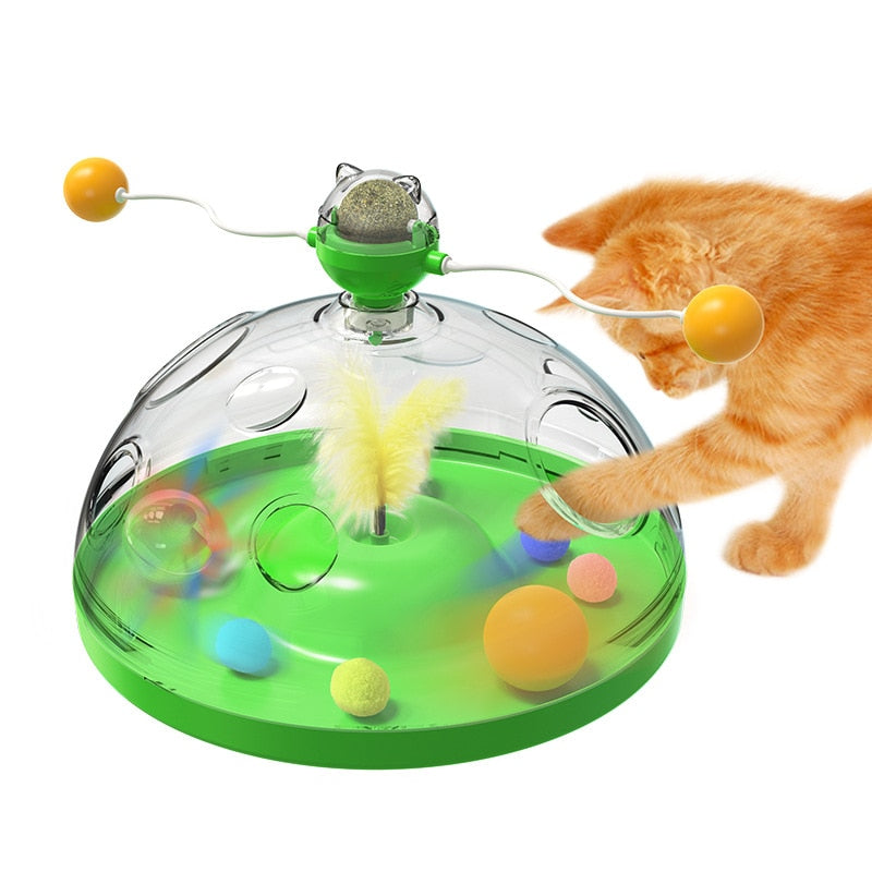 jeu chat autonome vert