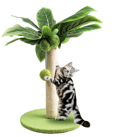 arbre a chat palmier vert