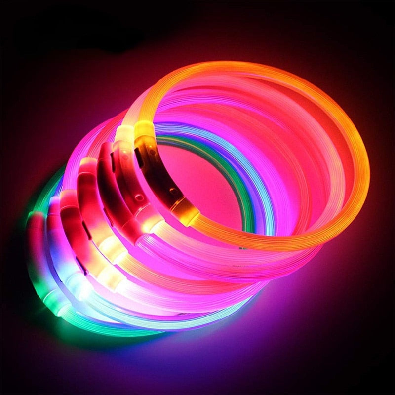 Lumilon  Collier lumineux LED anti-perte, anti-accident - Toutou