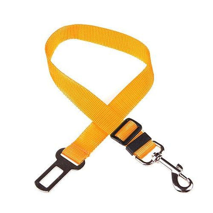 collier chien voiture jaune