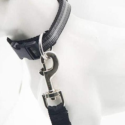 Ceinture de Sécurité pour Chien en Voiture