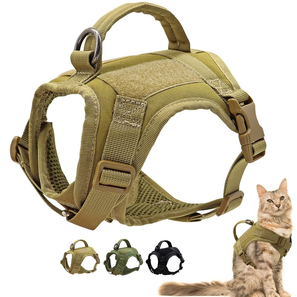 harnais militaire pour chat