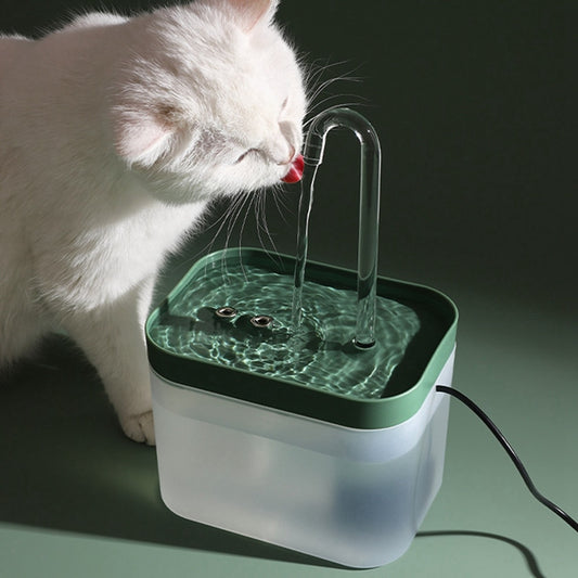 Fontaine à eau chat design, pompe silencieuse verte