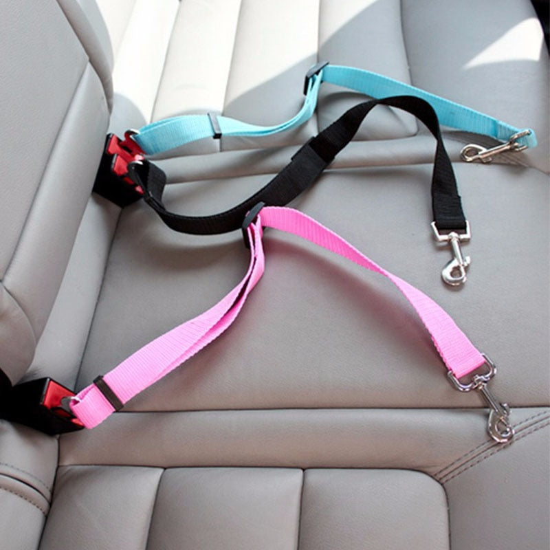 Ceinture de Sécurité pour Chien en Voiture