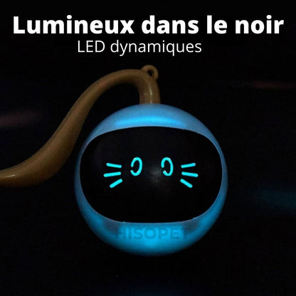 balle LED pour chat