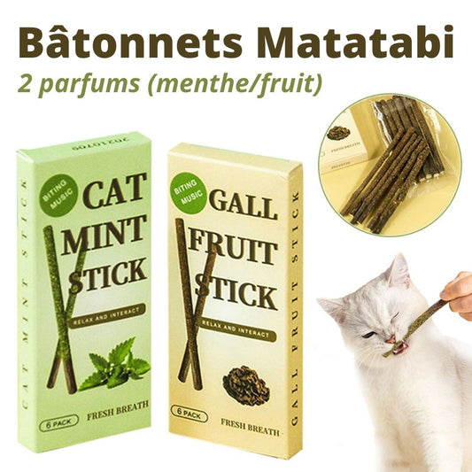batons herbe a chat