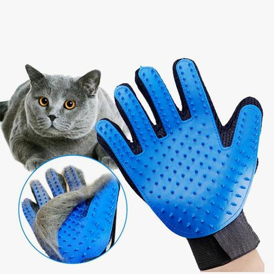 brosse chat gant bleu