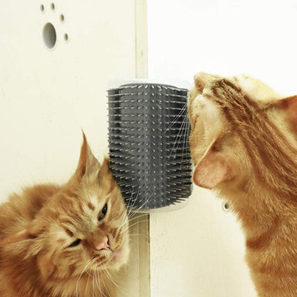 les chats se grattent avec brosse agnel