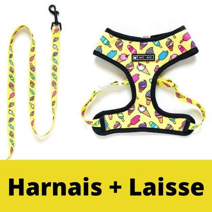 Harnais pour Chien