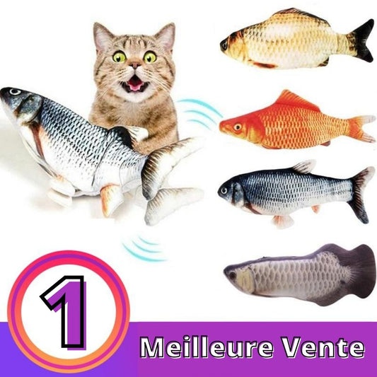 Live Fish for Cats and Dogs