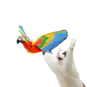 Jouet Oiseau Volant Pour Chat – Rechargeable Avec Son – Jouet Interactif Stimulant Pour Chaton Et Adulte - 9