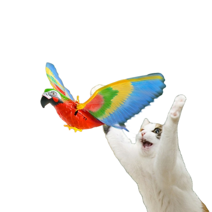 oiseau volant pour chat