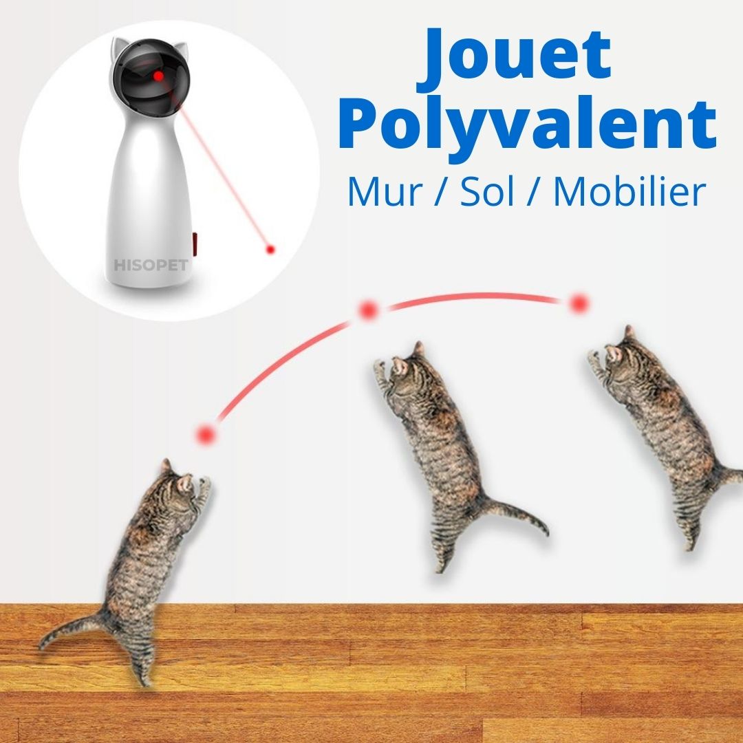 Jouet pour chat Laser Bolt™ V2 - JMT Alimentation Animale