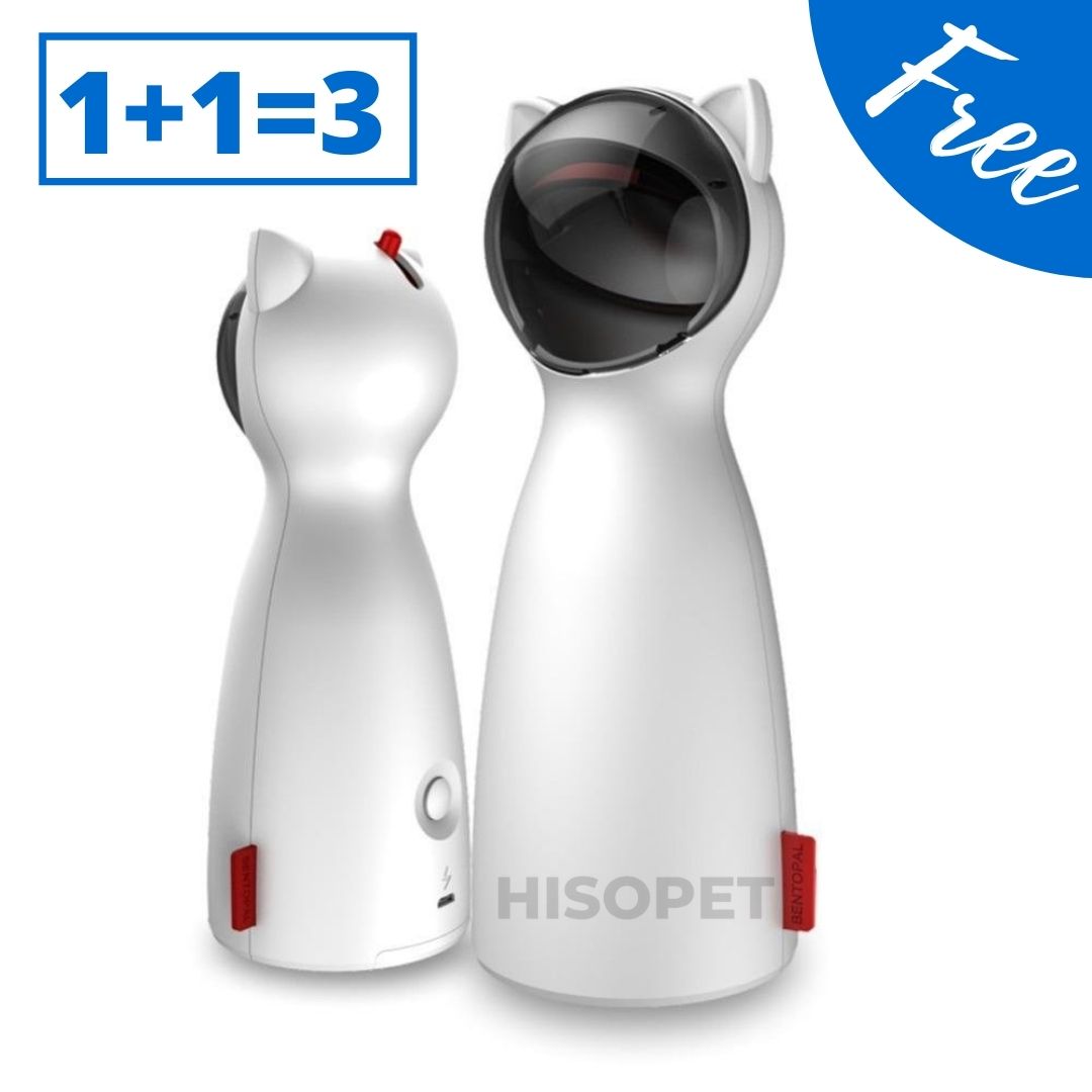 Laser interactif pour Chat - COMO – HisoPet™