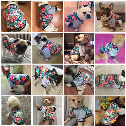 Teddy Coat for Dogs and Cats