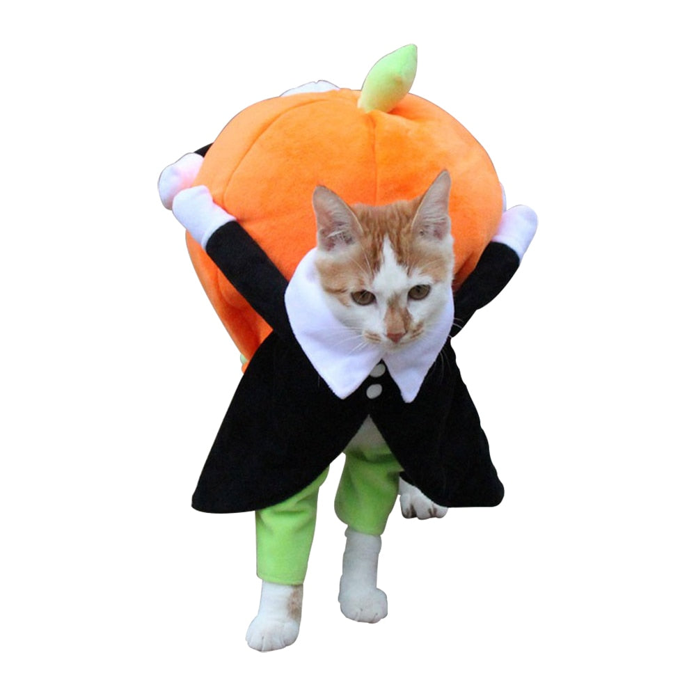 Halloween Costume for Dog and Cat