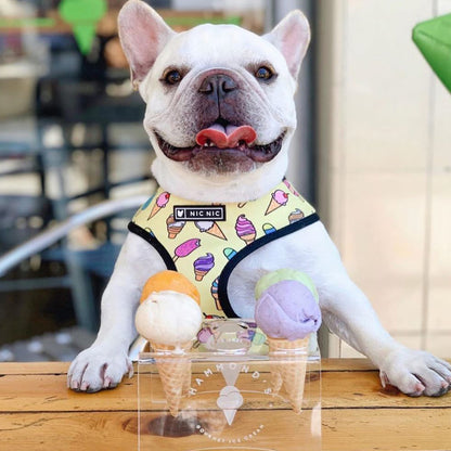 harnais jaune avec chien et glaces