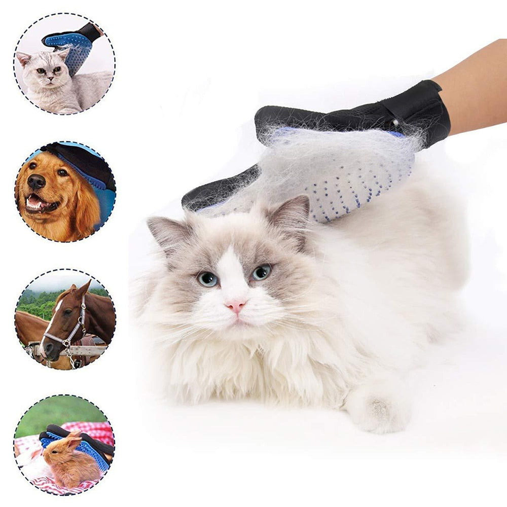 brosse gant animaux de compagnie