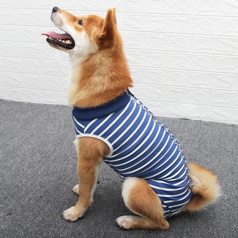 vêtement chien marinière