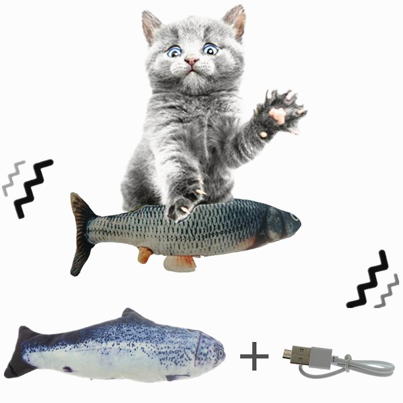 ปลาสดสำหรับแมวและสุนัข