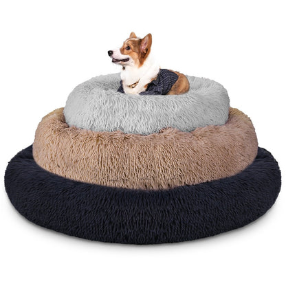 coussin apaisant chien gratuit