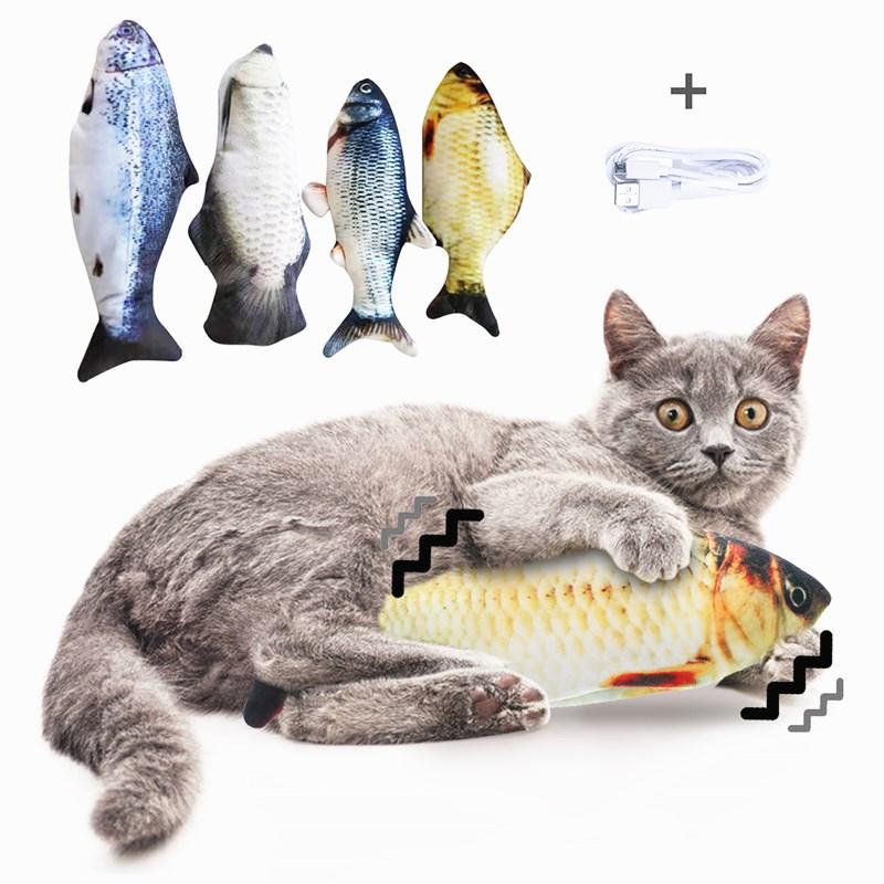 Live Fish for Cats and Dogs