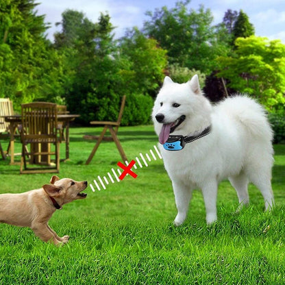 Collier Anti-aboiement pour Chien