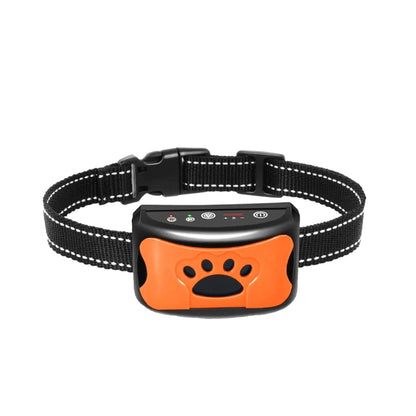 collier anti aboiement chien orange