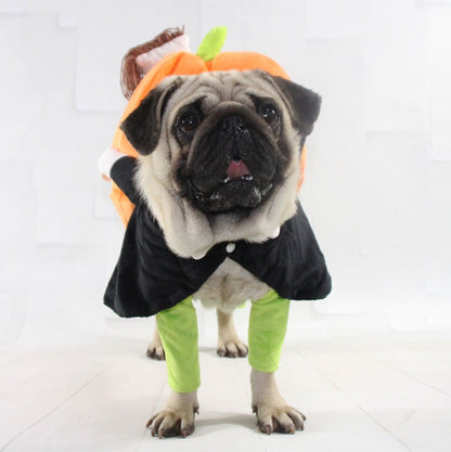 Costume d'halloween pour Chien et Chat