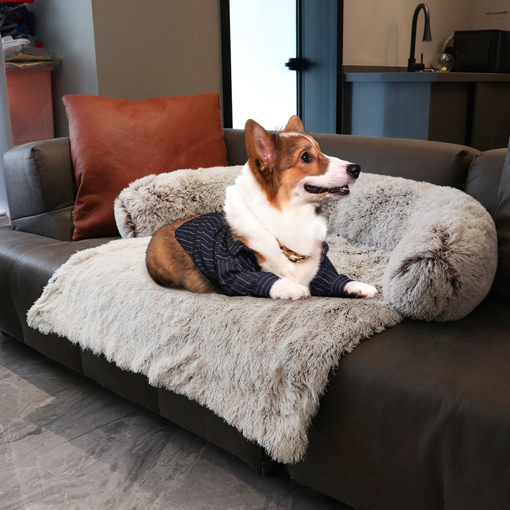 chien sur la couverture KOZI protection de sofa et canapé