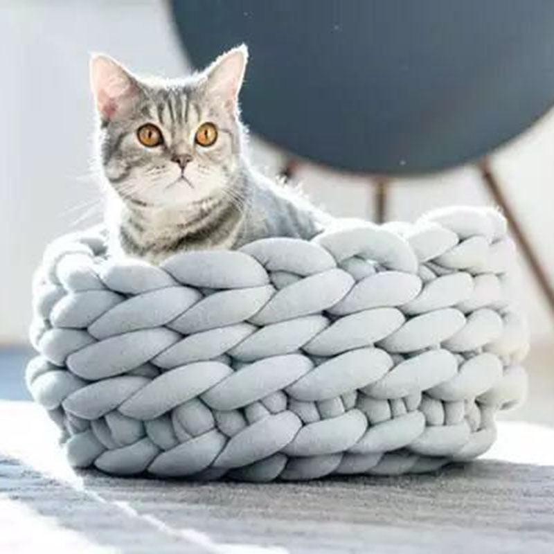chat gris dans panier pour chat
