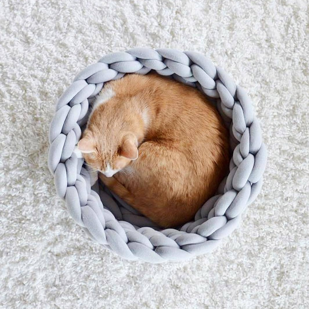 chat roux dans panier tresses gris