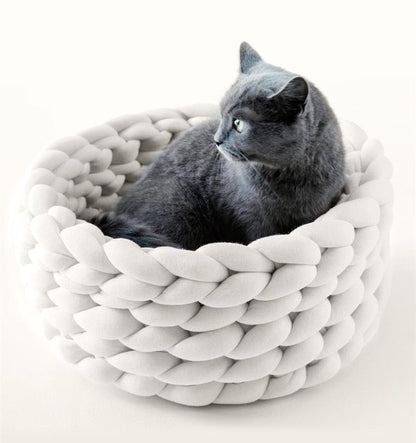 chat gris dans panier blanc