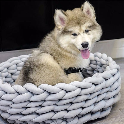 chien husky dans panier gris